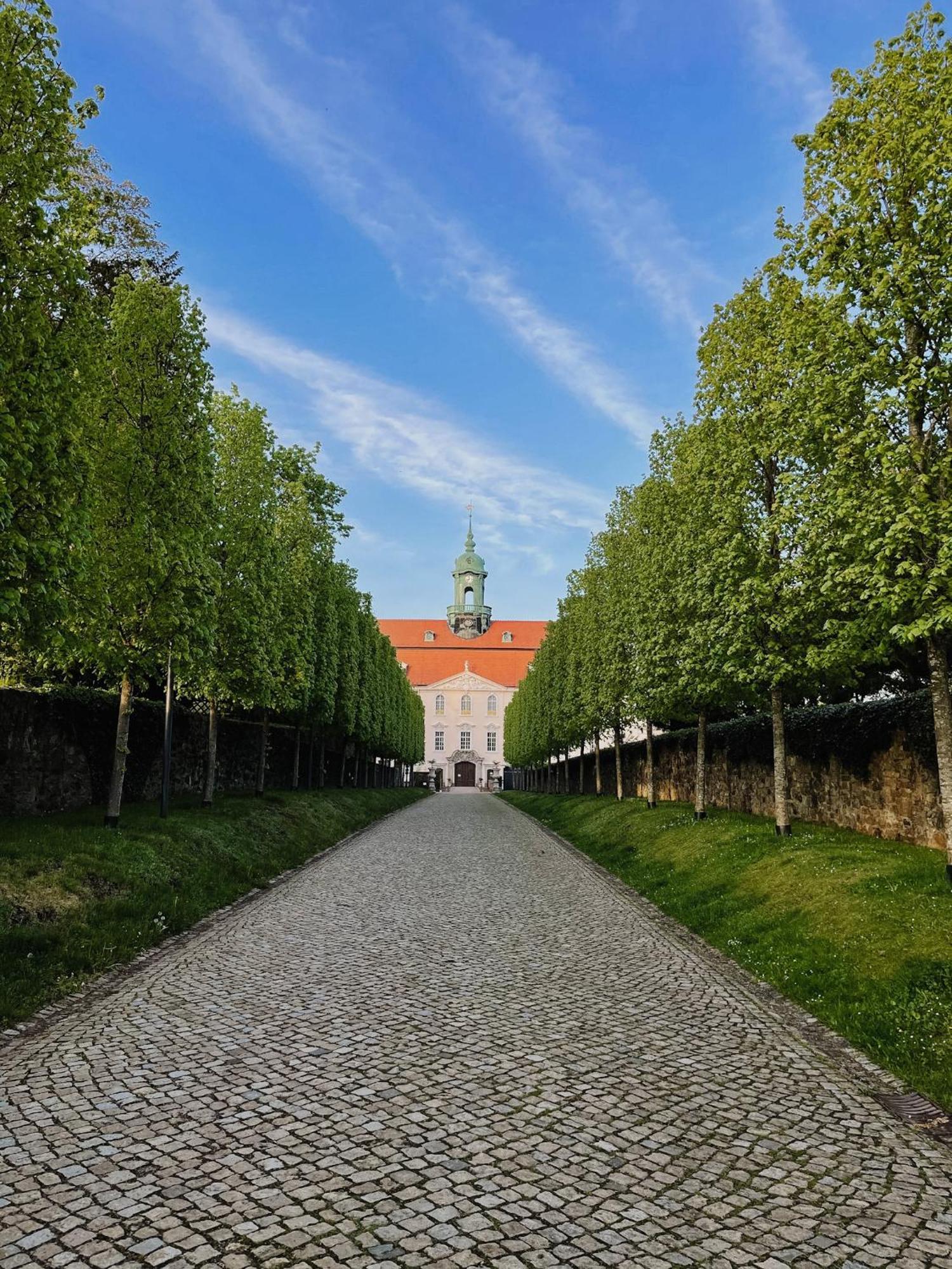Ferienwohnung Tilda Lichtenwalde Bagian luar foto